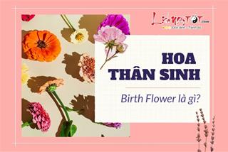 Hoa thân sinh – Birth Flower là gì? Đâu là loài hoa tượng trưng cho tháng sinh của bạn?