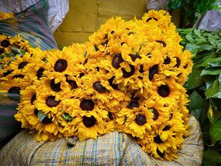 Tử vi tuần mới của 12 con giáp từ 9 – 15/10/2023: Mão gặp sóng gió, Mùi thêm chủ động