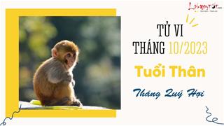 Tử vi tháng 10/2023 tuổi Thân âm lịch: Chịu nhiều áp lực, vất vả ngược xuôi