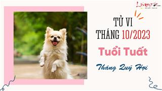 Tử vi tháng 10/2023 tuổi Tuất âm lịch: Nhiều ẩn số và biến động chờ được khám phá