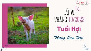 Tử vi tháng 10/2023 tuổi Hợi âm lịch: Thiếu sự hăng hái, thái độ uể oải