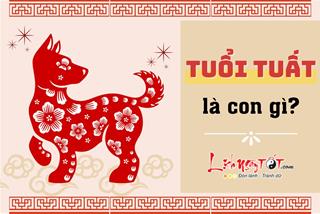 Tuất là con gì? Hợp khắc ra sao? Những đặc trưng cơ bản của người tuổi Tuất