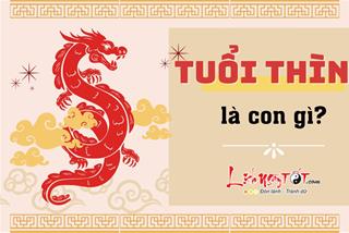 Tuổi Thìn là con gì? Tại sao tuổi này được ví như Linh Thú? Thìn có gì đặc biệt?