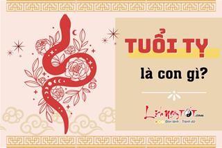 Tuổi Tỵ là con gì? Con Rắn trong 12 con giáp có gì đặc biệt? Chi tiết hay về tuổi Tỵ