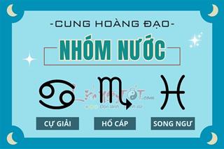 Cung Nước gồm những cung nào? Giải mã tất tần tật về đặc điểm, tính cách của nhóm Nước