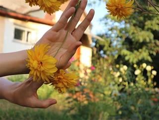 Tử vi Chủ Nhật ngày 14/1/2024 của 12 cung hoàng đạo: Sư Tử lì lợm, Ma Kết dễ chịu