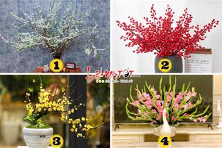 Trắc nghiệm tâm lý: Nửa cuối tháng 1/2024, bạn sẽ GẶT HÁI được gì trước thềm TẾT NGUYÊN ĐÁN?