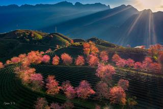 Tử vi thứ 3 ngày 30/1/2024 của 12 con giáp: Hợi tốn tiền, Ngọ buôn bán tốt