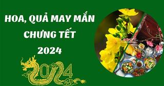 Tết 2024, các gia đình nên chọn những loại hoa, quả này để LỘC lá vào nhà!