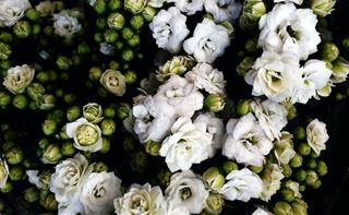 Tử vi tuần mới của 12 con giáp từ 19-25/2/2024: Dần hạnh phúc, Thân hoang phí