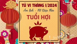 Tử vi tháng 1/2024 tuổi Hợi âm lịch: Thành công nhưng khó được lòng người