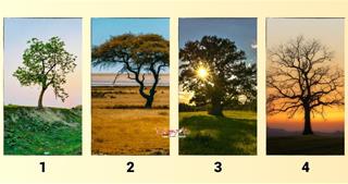 Trắc nghiệm 3 giây: Bạn nên TRÁNH làm gì trong năm 2024 để có một năm như ý?