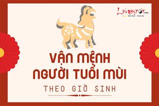 Vận mệnh người tuổi Mùi theo giờ sinh: Liệu thành công có đến với bạn?