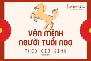 Vận mệnh người tuổi Ngọ theo giờ sinh: Cuộc đời bạn hanh thông hay trắc trở?