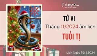 Tử vi tháng 11/2024 tuổi Tị âm lịch: Tinh thần lạc quan, hiện thực hóa mục tiêu