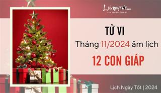 Tử vi tháng 11/2024 của 12 con giáp âm lịch: Ai phát triển như vũ bão?