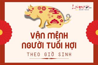 Vận mệnh người tuổi Hợi theo giờ sinh: Bạn có phải là người tham vọng?