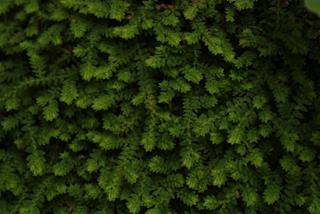 Tử vi thứ 2 ngày 14/10/2024 của 12 con giáp: Hợi lo lắng, Dần rủng rỉnh