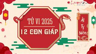 Xem TỬ VI 2025 của 12 con giáp - Luận giải chi tiết lá số tử vi năm Ất Tỵ đầy đủ tất cả các tuổi