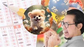 TRÚNG SỐ độc đắc cuối năm 2024, 3 tuổi vàng đeo đầy người, tiền tiêu không phải nghĩ