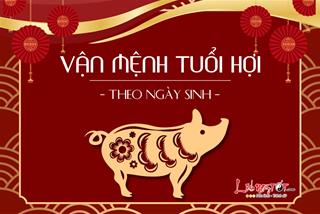 Vận mệnh người tuổi Hợi theo ngày sinh: Bạn có gặp được nhiều may mắn?