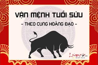 Vận mệnh người tuổi Sửu theo cung hoàng đạo: Liệu bạn có số phú quý?