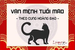 Vận mệnh người tuổi Mão theo cung hoàng đạo: Bạn có thành công rực rỡ?