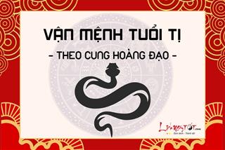 Vận mệnh người tuổi Tị theo cung hoàng đạo: Bạn có dám đối diện thách thức?