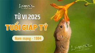 Tử vi năm 2025 tuổi Giáp Tý 1984 nam mạng: Tốt xấu đan xen, có được có mất