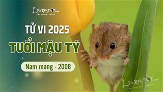 Tử vi năm 2025 tuổi Mậu Tý 2008 nam mạng: Bình ổn và may mắn về tình duyên