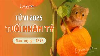 Tử vi năm 2025 tuổi Nhâm Tý 1972 nam mạng: An nhàn về tinh thần, ít vấn đề nghiêm trọng