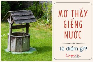 Bí ẩn giấc mơ về cái giếng: Tài lộc dồi dào hay nguy cơ rình rập?