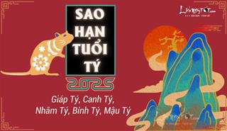 Sao hạn tuổi Tý năm 2025: Chi tiết các tuổi Giáp Tý, Canh Tý, Nhâm Tý, Bính Tý, Mậu Tý