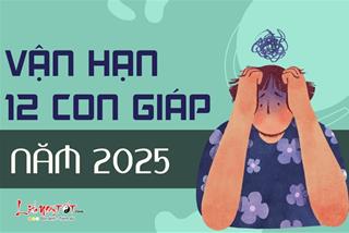 Cảnh báo vận hạn của 12 con giáp năm 2025: Nguy cơ nào luôn rình rập bạn?