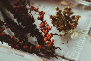 Tử vi thứ 6 ngày 23/2/2024 của 12 con giáp: Dần cần kiên trì, Dậu vượng phát