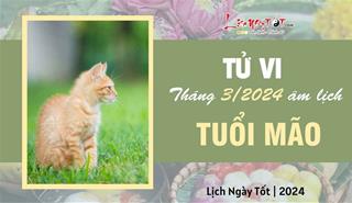 Tử vi tháng 3/2024 tuổi Mão âm lịch: Công danh rực rỡ, thắp thêm nhiều hi vọng mới