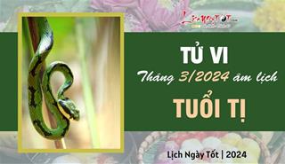 Tử vi tháng 3/2024 tuổi Tị âm lịch: Tinh thần mạnh mẽ và xông xáo hứa hẹn sớm có thành công