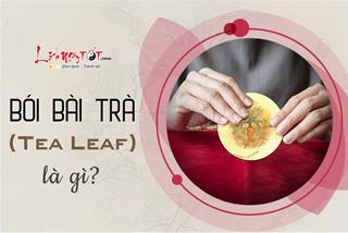 Bói bài trà - Tea Leaf là gì? Các phương pháp xem bói bài trà để tiên tri cho tương lai, vận mệnh