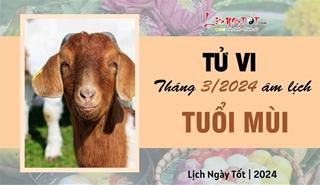 Tử vi tháng 3/2024 tuổi Mùi âm lịch: Cảm giác chông chênh, quên rằng mình may mắn tới mức nào