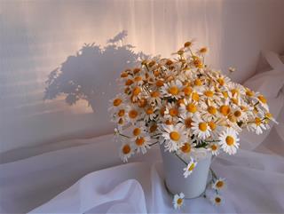 Tử vi thứ 4 ngày 28/2/2024 của 12 cung hoàng đạo: Song Tử bất an, Cự Giải tốt tính