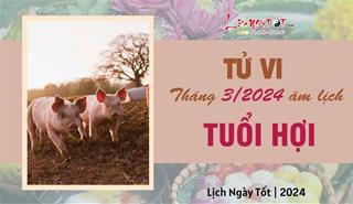 Tử vi tháng 3/2024 tuổi Hợi âm lịch: Nóng nảy, tức giận với những kẻ tiểu nhân