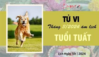 Tử vi tháng 3/2024 tuổi Tuất âm lịch: Kiếm được tiền nhưng tiêu cũng không ít