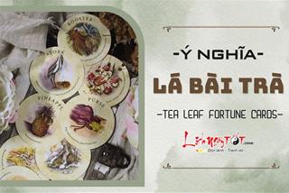 Giải mã ý nghĩa các lá bài trà - Tea Leaf Fortune Cards: Lời tiên tri về vận mệnh tương lai