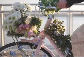 Tử vi Chủ Nhật ngày 3/3/2024 của 12 cung hoàng đạo: Sư Tử bạo dạn, Thiên Bình cứng đầu