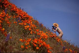 Tử vi thứ 4 ngày 6/3/2024 của 12 cung hoàng đạo: Xử Nữ tinh tế, Bạch Dương thông minh