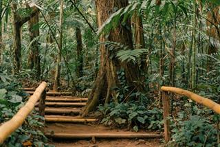 Tử vi tuần mới của 12 con giáp từ 25 - 31/3/2024: Sửu nên lượng sức, Thân tự tin