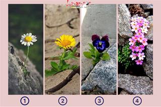 Trắc nghiệm tâm lý: Bạn có thể LỘI NGƯỢC DÒNG trong nửa cuối tháng 3/2024 hay không?