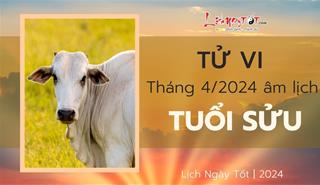 Tử vi tháng 4/2024 tuổi Sửu âm lịch: Cơ hội thách thức song hành, hãy tùy cơ ứng biến