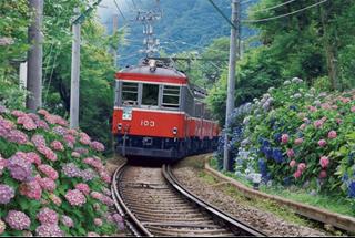 Tử vi Chủ Nhật ngày 31/3/2024 của 12 cung hoàng đạo: Sư Tử giỏi, Cự Giải u sầu