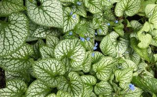 Tử vi thứ 5 ngày 14/3/2024 của 12 con giáp: Tý dễ bị hại, Mão sáng suốt